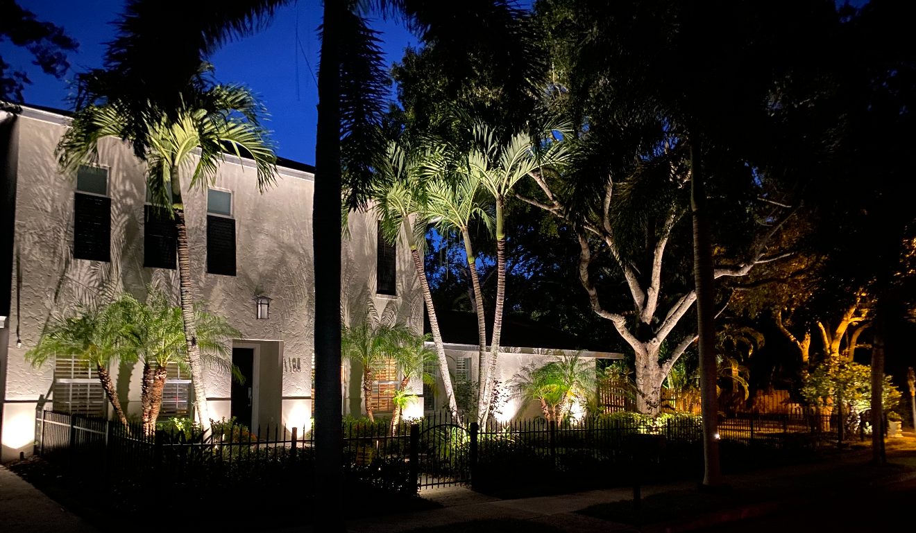 Architectural tree lighting on historic building